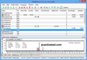 NetBalancer Activation Code Latest Version 2024 + Free Download