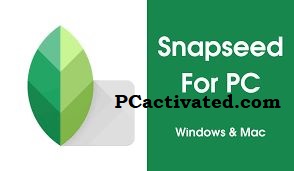 Snapseed for Pc Latest Updated Version 2024