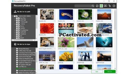 Recovery robot pro serial key Fully Updated Version